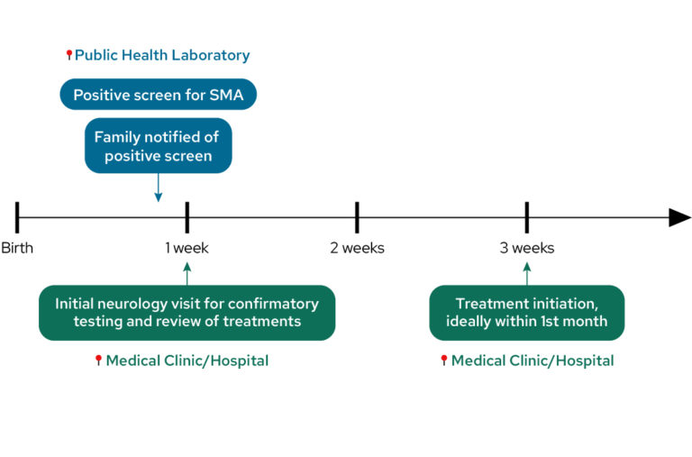 A newborn screening timeline.